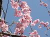 img0056.jpg