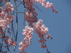 img0065.jpg