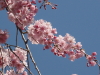 img0066.jpg