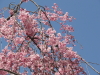 img0070.jpg