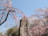 img0080.jpg