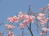 img0084.jpg