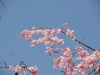 img0085.jpg