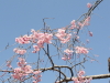 img0087.jpg