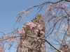 img0088.jpg