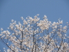 img0092.jpg
