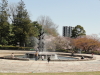 img0095.jpg