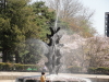 img0096.jpg