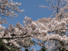 img0099.jpg