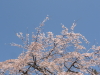 img0100.jpg
