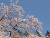 img0101.jpg