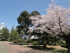 img0107.jpg