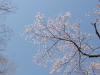 img0112.jpg