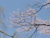 img0113.jpg