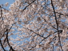 img0115.jpg