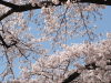 img0116.jpg