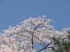img0119.jpg