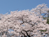 img0120.jpg