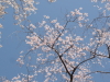 img0124.jpg