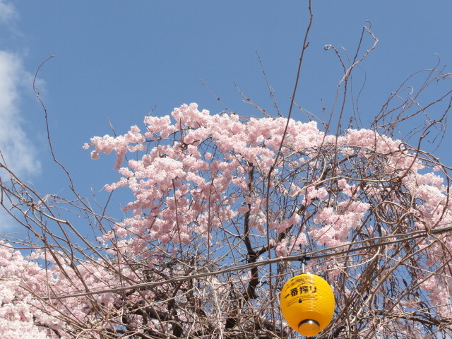 img0004.jpg