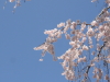 img0048.jpg