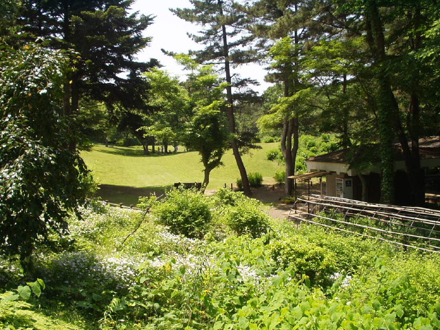 img0000.jpg