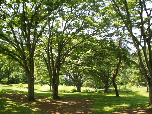 img0001.jpg