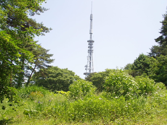 img0003.jpg