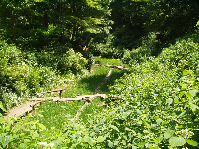 img0004.jpg