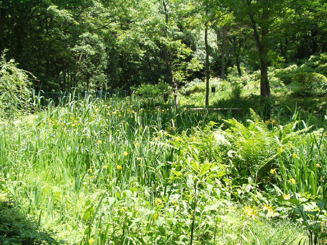 img0008.jpg