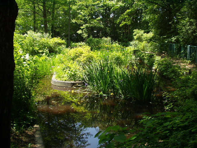 img0009.jpg