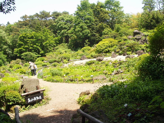 img0010.jpg