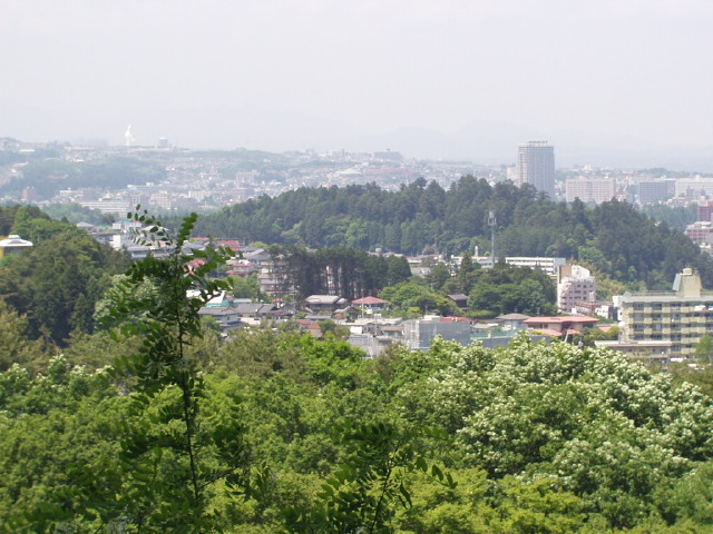 img0016.jpg