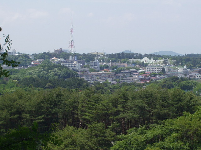 img0017.jpg