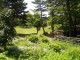 img0000.jpg