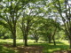 img0001.jpg