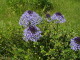 img0002.jpg