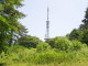 img0003.jpg