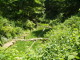 img0004.jpg