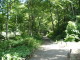 img0006.jpg