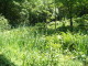 img0008.jpg
