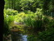 img0009.jpg