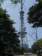 img0011.jpg