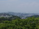 img0013.jpg