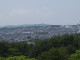 img0014.jpg