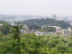 img0016.jpg