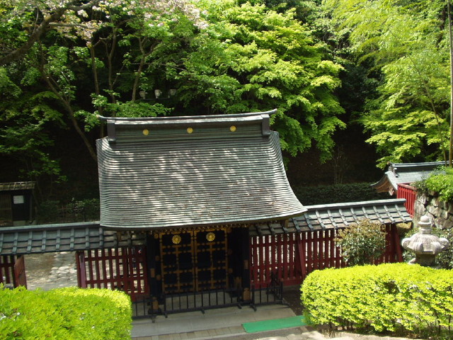 img0009.jpg