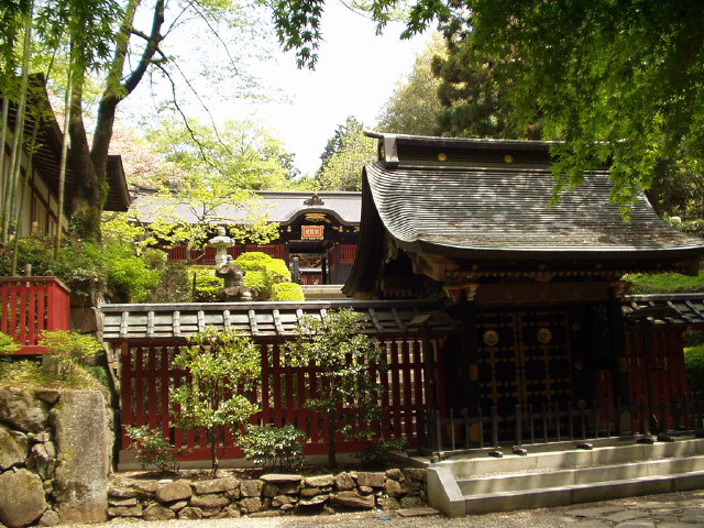 img0010.jpg