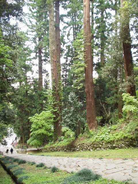 img0013.jpg