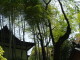 img0004.jpg